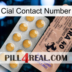 Cial Contact Number 41